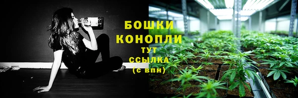 крисы Ладушкин