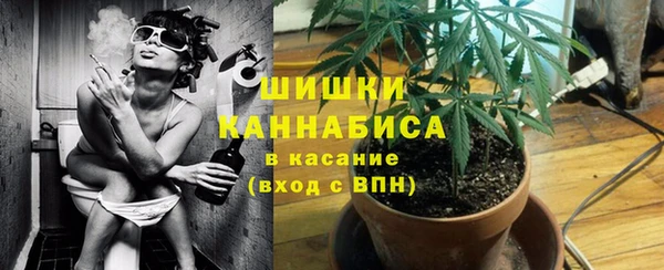 крисы Ладушкин