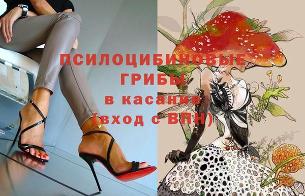 каннабис Лабытнанги