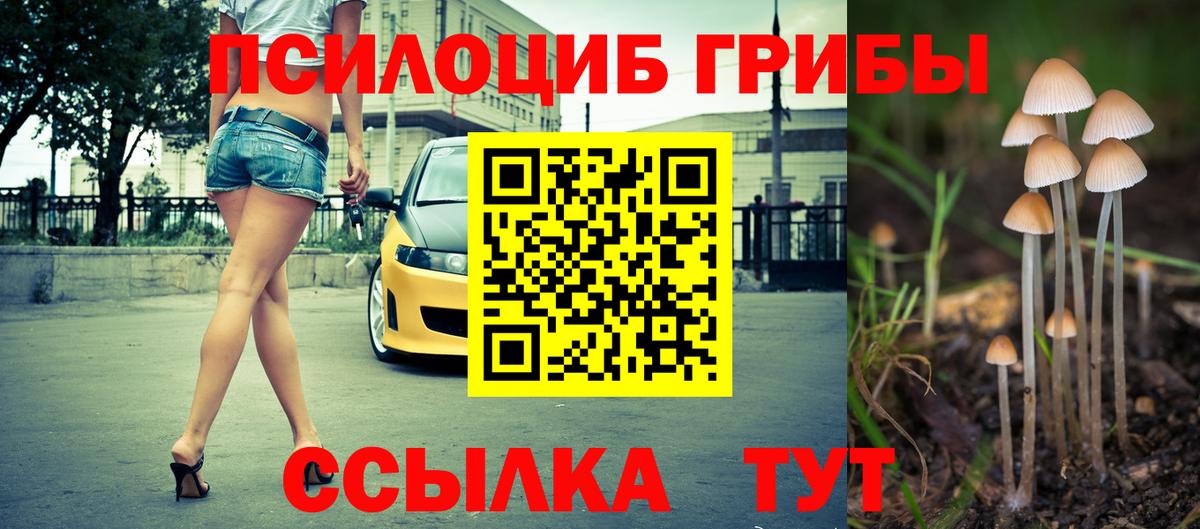 Псилоцибиновые грибы прущие грибы  Галлюциногенные грибы Psilocybe  Вход с VPN  Сосновоборск 