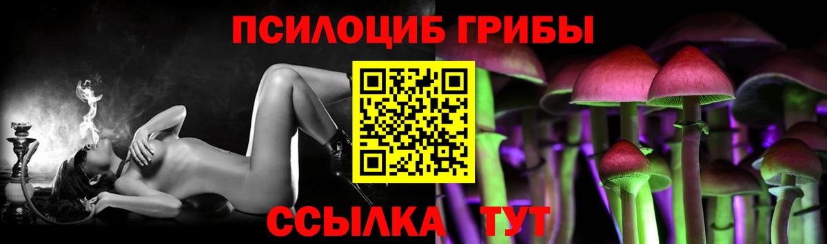 Псилоцибиновые грибы GOLDEN TEACHER Сосновоборск